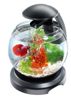 Tetra Cascade Globe аквариумный комплекс черный 6,8 л