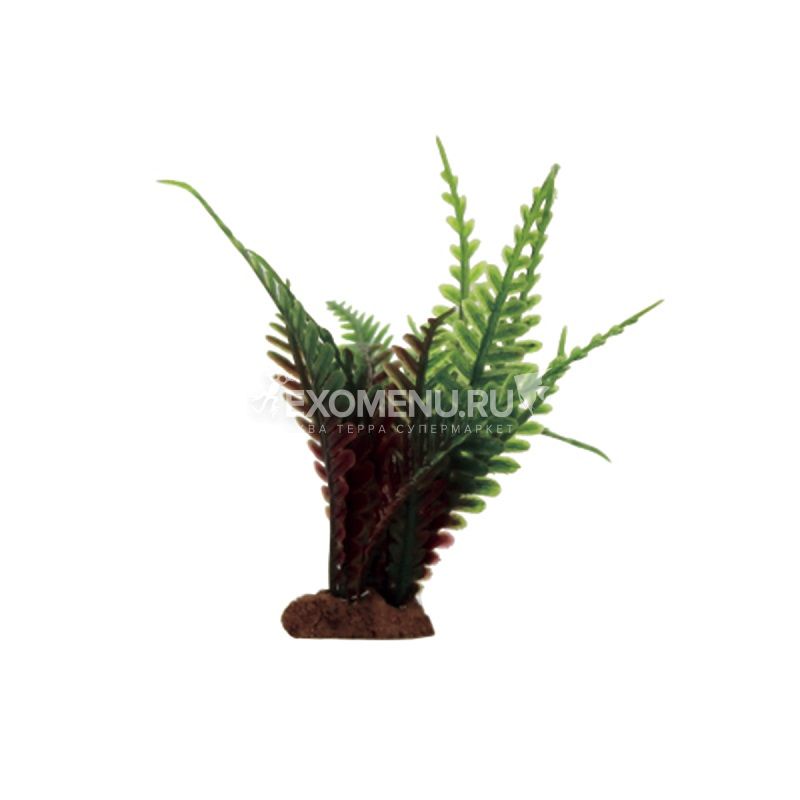 ArtUniq Fern red-green Set 6x10 - Набор искусственных растений Папоротник красно-зеленый, 10 см, ...