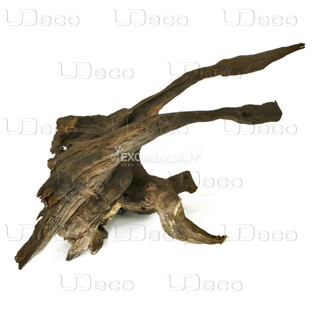 UDeco Chinese Driftwood M - Натуральная коряга 