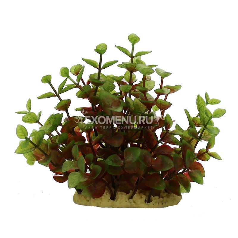 ArtUniq Ludwigia red-green 15 - Искусственное растение Людвигия красно-зеленая, 15 см