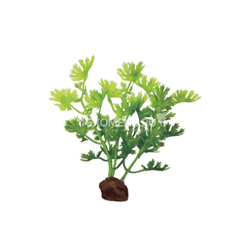 ArtUniq Ranunculus inundatus Set 6x10 - Набор искусственных растений Лютик водный, 10 см, 6 шт