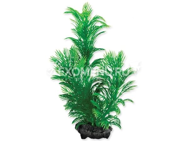 Растение аквариумное Green Cabomba (S) 15 см с утяжелителем