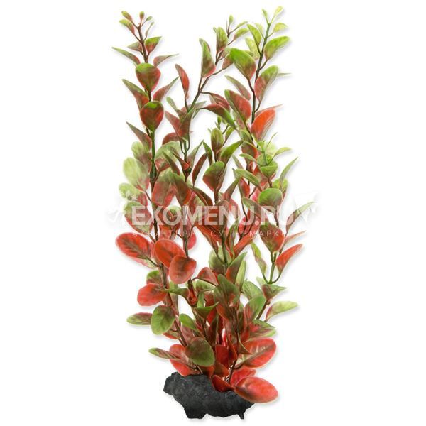Растение аквариумное Red Ludvigia (M) 23 см с утяжелителем