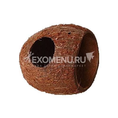 JBL Cocos Cava - 