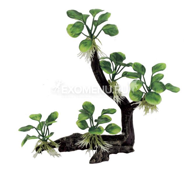 ArtUniq Branched Driftwood With Anubias nana M4 - Декоративная композиция из пластика 