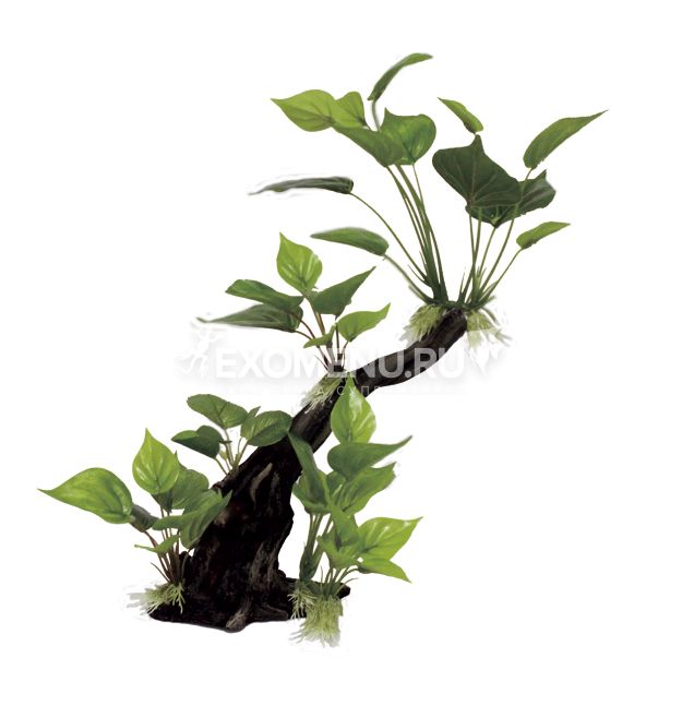 ArtUniq Driftwood With Anubias M2 - Декоративная композиция из пластика 