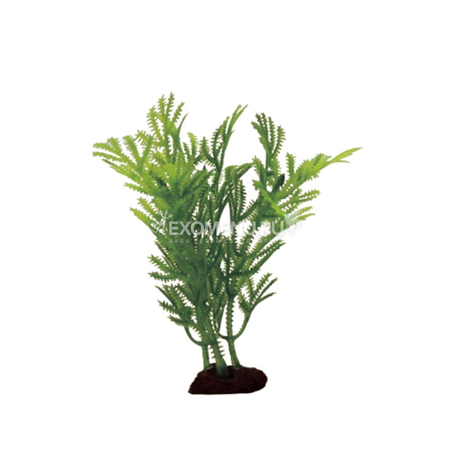 ArtUniq Hottonia Set 6x10 - Набор искусственных растений Хоттиния , 10 см, 6 шт