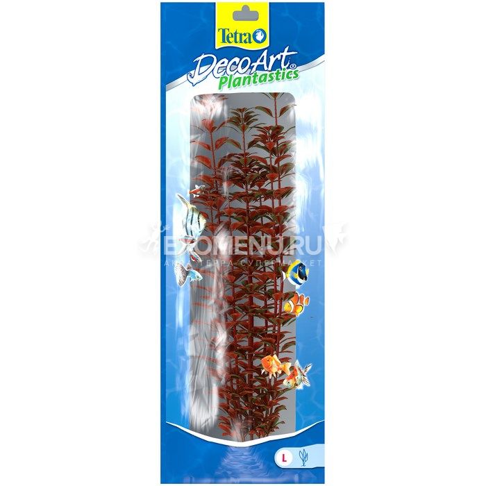 Растение аквариумное Red Ludwigia 3 (L)  30см.  606661