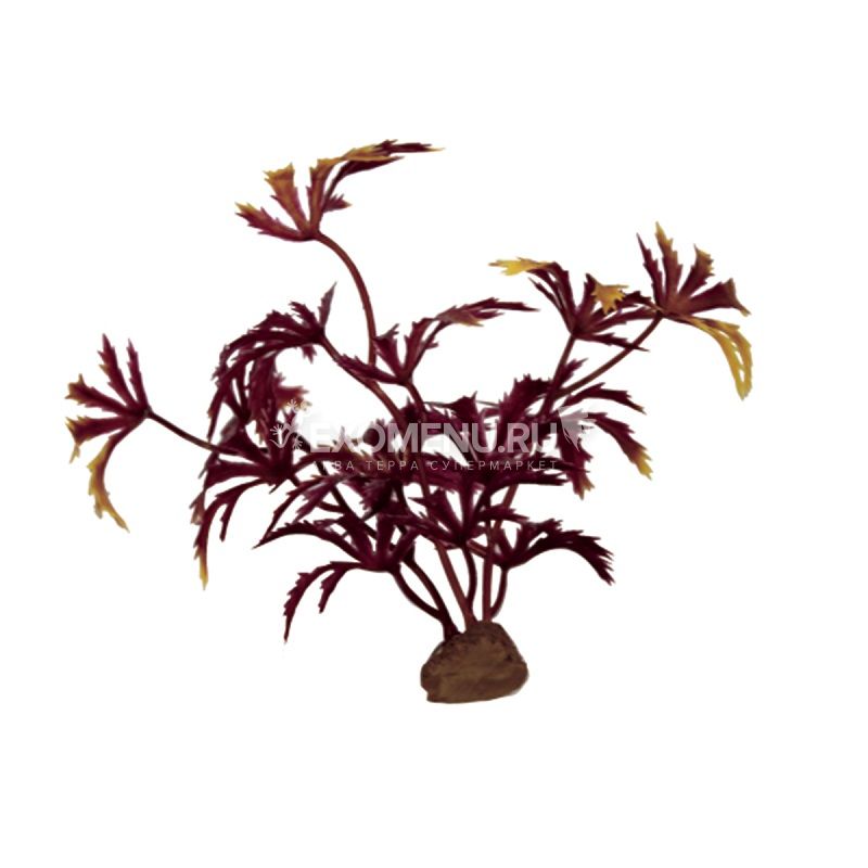 ArtUniq Abutilon red Set 6x10 - Набор искусственных растений Абутилон красный, 10 см, 6 шт