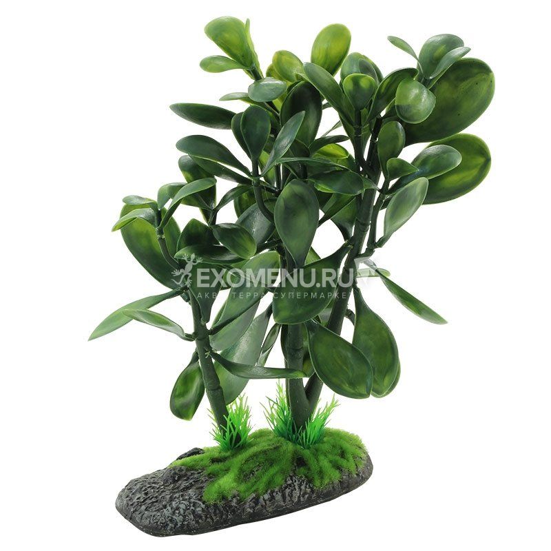 Растение Крассула REP25003, 250мм, Repti-Zoo