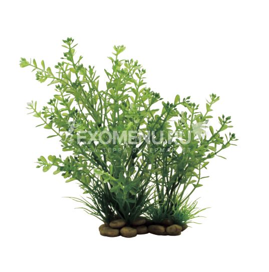 ArtUniq Rotala 20 - Искусственное растение Ротала, 20 см