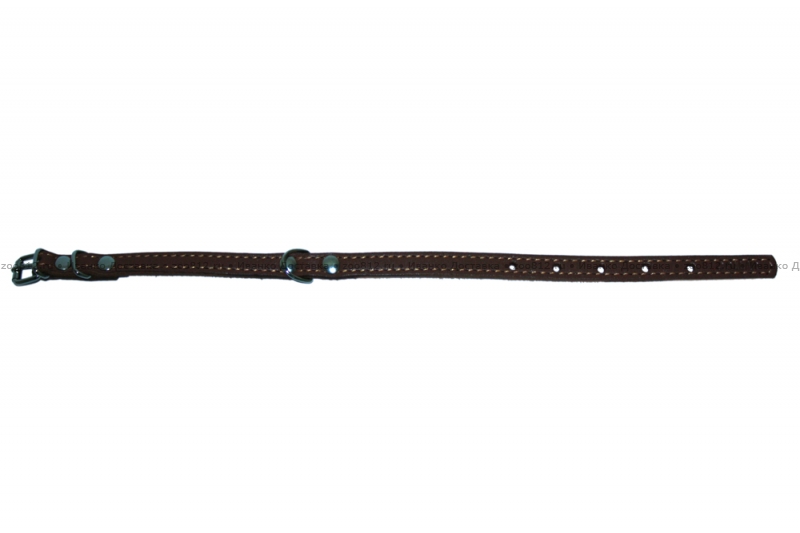 Collar одинарный ошейник для собак