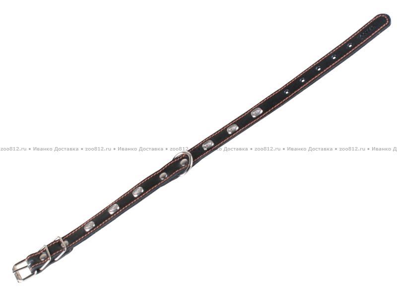 Collar одинарный ошейник чёрного цвета для собак