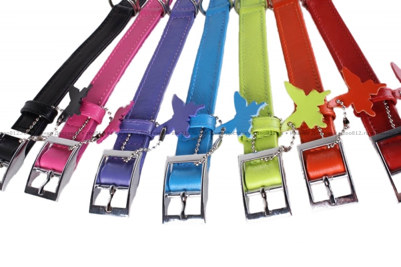 Collar  Glamour стильный ошейник без украшений для собак цвета в ассортименте