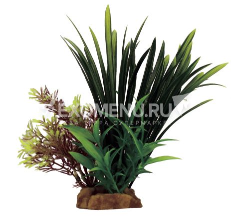ArtUniq Acorus red-green mix 24 - Композиция из искусственных растений Акорус красно-зеленый, 15x...