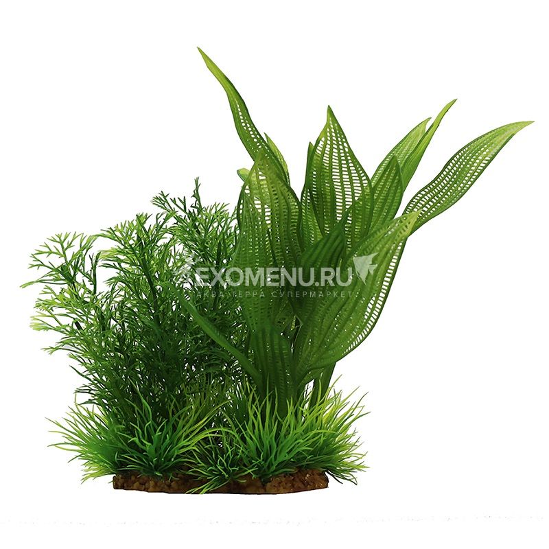 ArtUniq Aponogeton madagascariensis mix 15 - Композиция из искусственных растений Апоногетон мада...