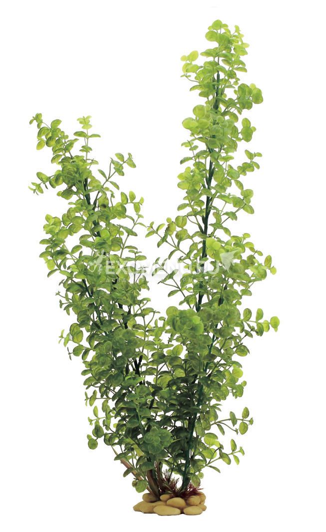 ArtUniq Bacopa 60 - Искусственное растение Бакопа, 60 см