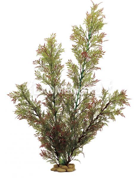 ArtUniq Ceratopteris thalictroides red-green 60 - Искусственное растение Папоротник индийский кра...