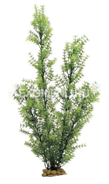 ArtUniq Ceratophyllum green 60 - Искусственное растение Роголистник зеленый, 60 см