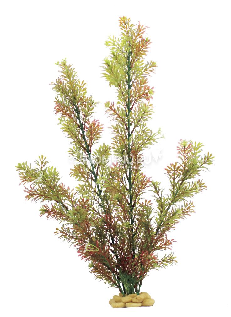 ArtUniq Rotala indica 60 - Искусственное растение Ротала индийская, 60 см
