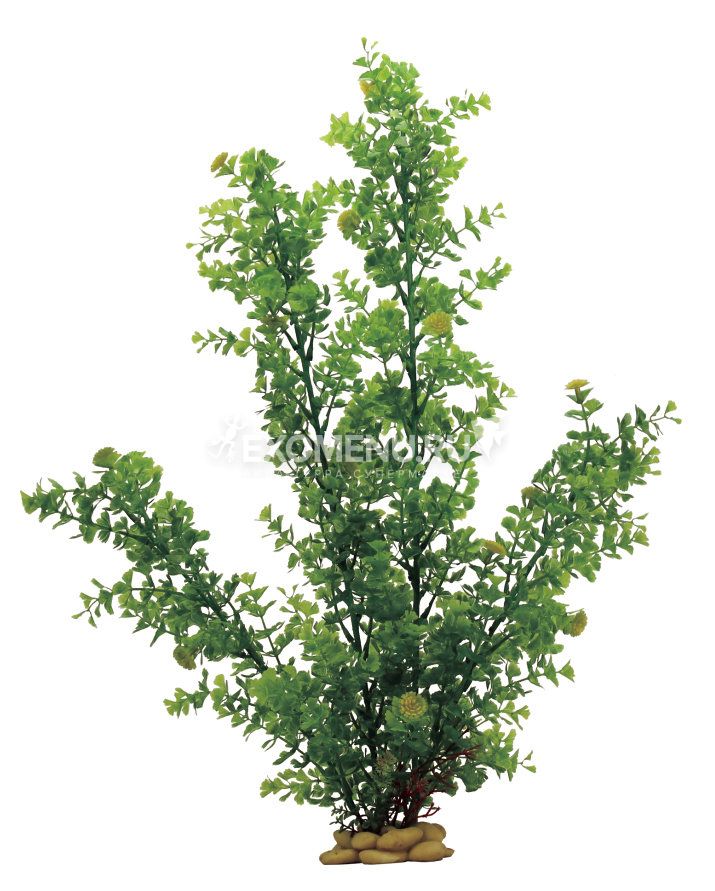 ArtUniq Hydrocotyle tripartita 60 - Искусственное растение Кариота, 60 см