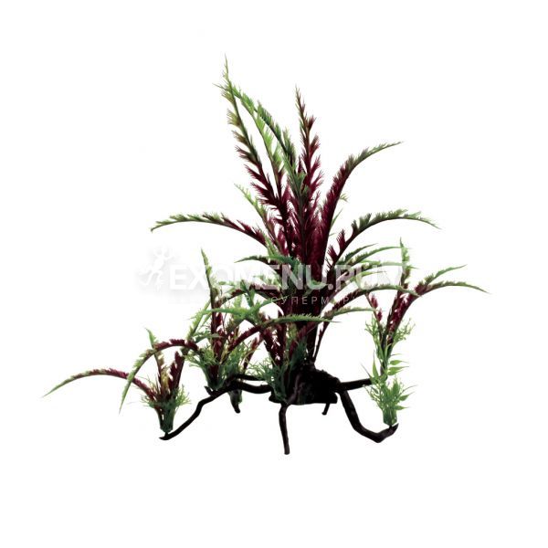 ArtUniq Dizygotheca red on bonsai 38 - Композиция из искусственных растений на бонсае Дизиготека ...