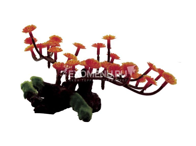 ArtUniq Marsilea Red on driftwood 10 - Композиция из искусственных растений на коряге Марсилия кр...