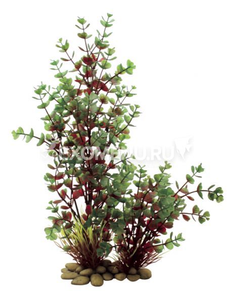 ArtUniq Bacopa red-green 38 - Искусственное растение Бакопа красно-зеленая, 38 см