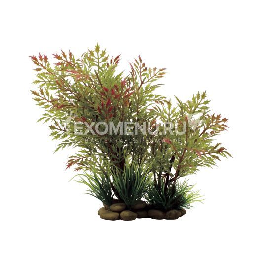 ArtUniq Ceratopteris thalictroides 20 - Искусственное растение Папоротник водяной красно-зеленый,...