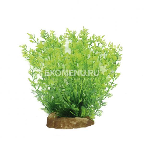 ArtUniq Cabomba 20 - Искусственное растение Кабомба, 20 см
