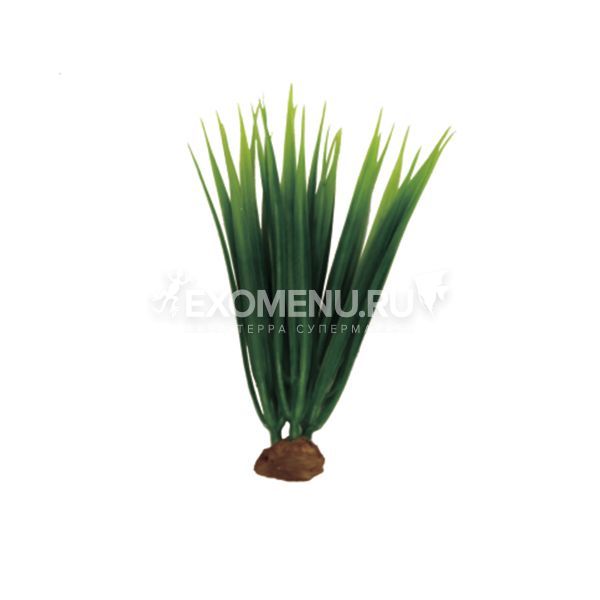 ArtUniq Acorus Set 5x15 - Набор искусственных растений Акорус, 15 см, 5 шт