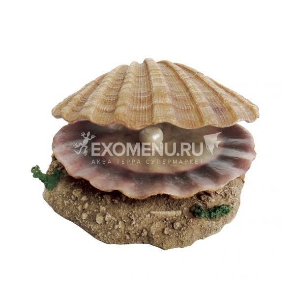 ArtUniq Shell With A Pearl - Декоративная композиция 