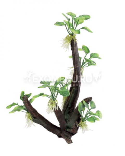 ArtUniq Toll Branched Driftwood With Anubias nana M - Декоративная композиция из пластика 