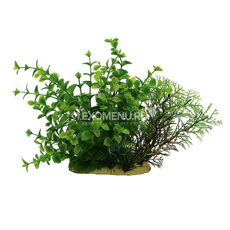 ArtUniq Ludwigia green mix 15 - Композиция из искусственных растений Людвигия зеленая, 15 см