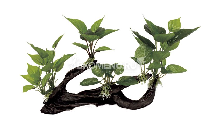 ArtUniq Mangrove Driftwood With Anubias M4 - Декоративная композиция из пластика 