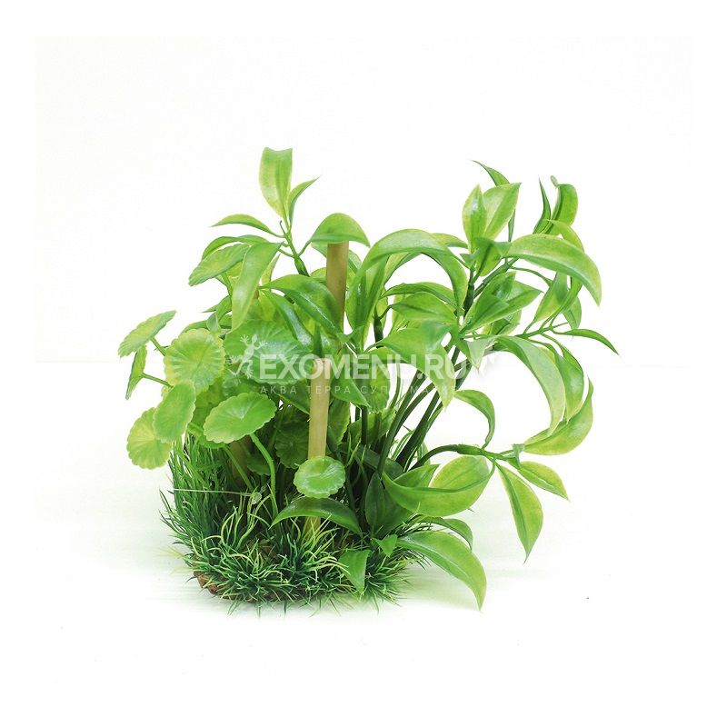 ArtUniq Alternanthera Bettzickiana & bamboo 20 - Композиция из искусственных растений с бамбуком ...