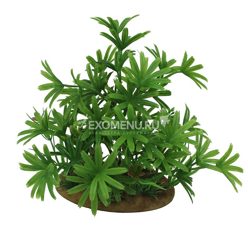 ArtUniq Bambusa green 15 - Искусственное растение Бамбуза зеленая, 15 см