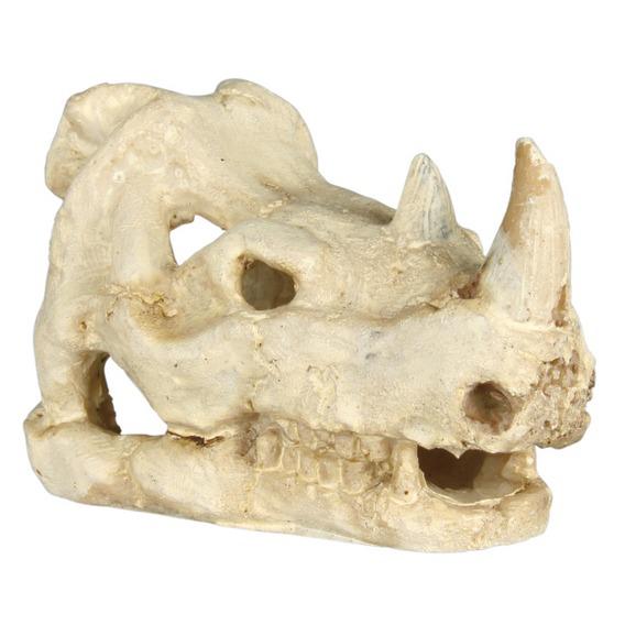 Набор гротов Набор гротов