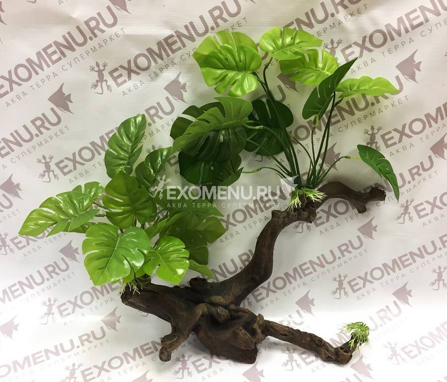 %ДИСКОНТ% ArtUniq Branched Driftwood With Monstera XL - Декоративная композиция из пластика 
