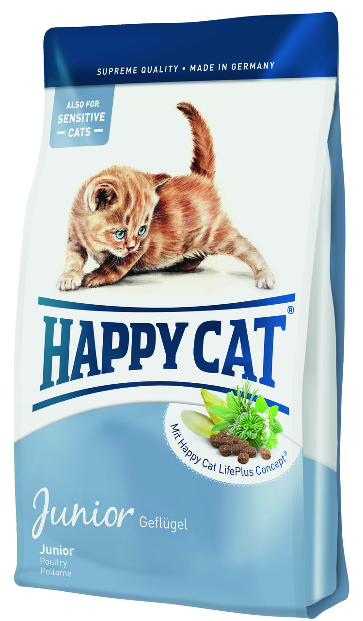 Для котят