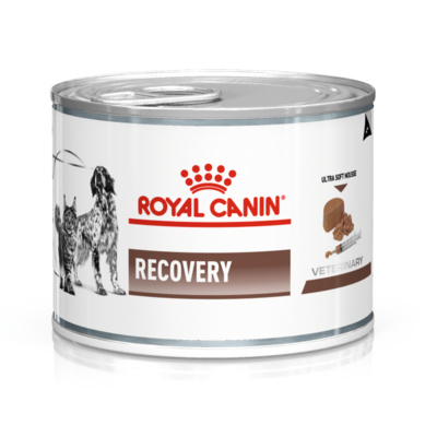 Royal Canin Recovery паштет для животных при анорексии и в период восстановления
