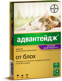 Bayer Адвантейдж 80 К для кошек больше 4 кг 1 пипетки х 0,8 мл