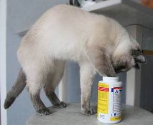 Витамины для кошек и котят, для беременных кошек, для шерсти
