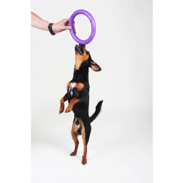 Collar Puller Mini тренировочный снаряд для собак мелких пород (2 кольца) арт 19.601