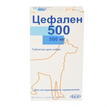 ICF Цефален 500 антибиотик для собак при заболеваниях дыхательных путей, желудочно-кишечного тракта