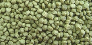 Sera Granugreen гранулы для растительноядных цихлид, фото №2 Sera Granugreen гранулы для растительноядных цихлид, фото №2
