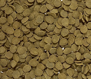 Sera Wels-chips чипсы для сомиков со ртом-присоской, фото №2 Sera Wels-chips чипсы для сомиков со ртом-присоской, фото №2