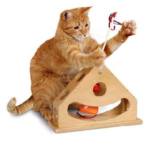 Pioneer Pet Интерактивная игрушка Tick Tock Teaser 30х22х10см арт 16010, фото №2 Pioneer Pet Интерактивная игрушка Tick Tock Teaser 30х22х10см арт 16010, фото №2