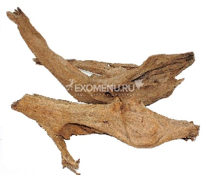 Коряга мангровая, размер XL (58-66 см.) Коряга мангровая, размер XL (58-66 см.)