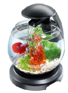 Tetra Cascade Globe аквариумный комплекс черный 6,8 л Tetra Cascade Globe аквариумный комплекс черный 6,8 л